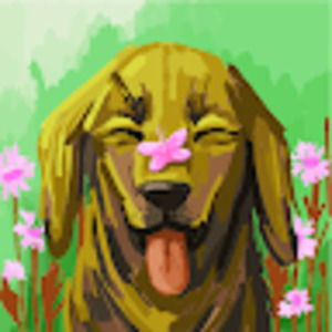 Meet your Posher, Shyanne